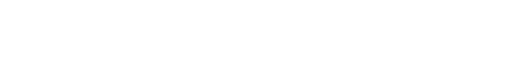 NAVINECT